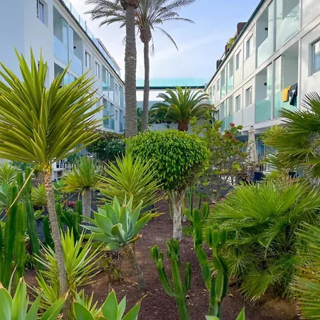 51 E-scape Corralejo